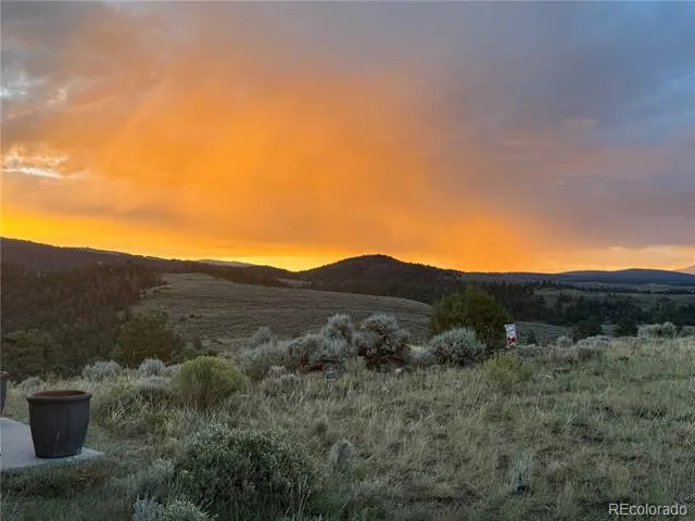 110 Guendel Place Fort Garland, CO 81133
