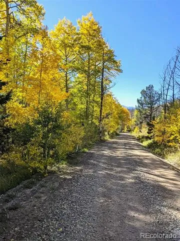 110 Guendel Place Fort Garland, CO 81133