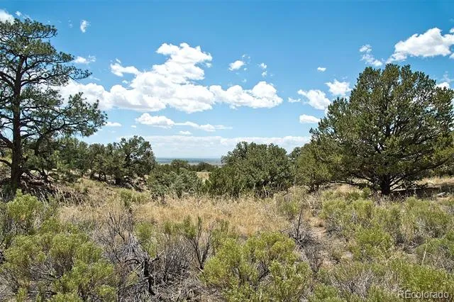 711 Cedarwood Ol Crestone, CO 81131