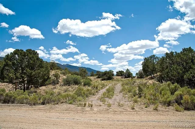711 Cedarwood Ol Crestone, CO 81131