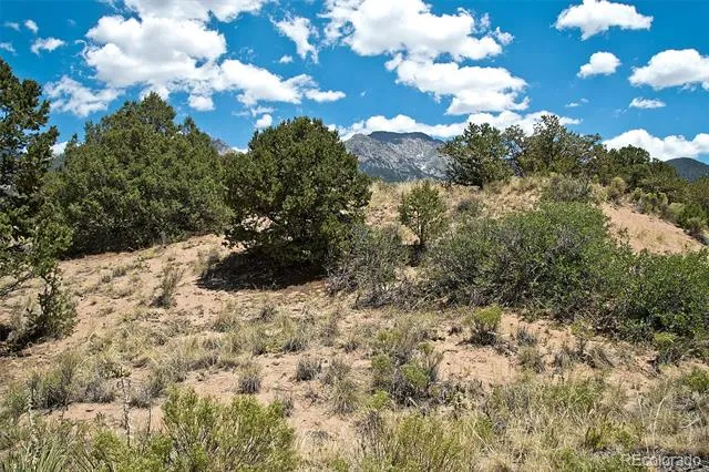711 Cedarwood Ol Crestone, CO 81131