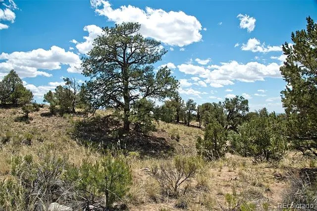711 Cedarwood Ol Crestone, CO 81131