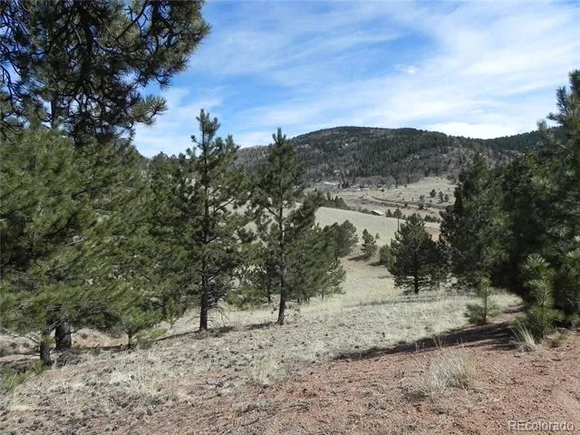 1087 Monarch Drive Cripple Creek, CO 80813