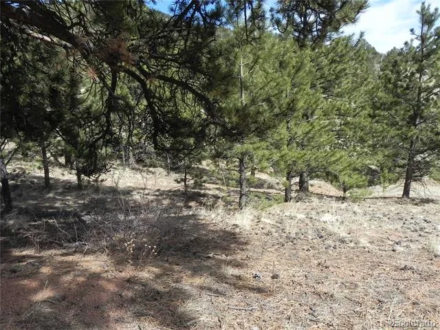 1087 Monarch Drive Cripple Creek, CO 80813