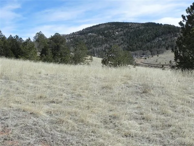 1087 Monarch Drive Cripple Creek, CO 80813