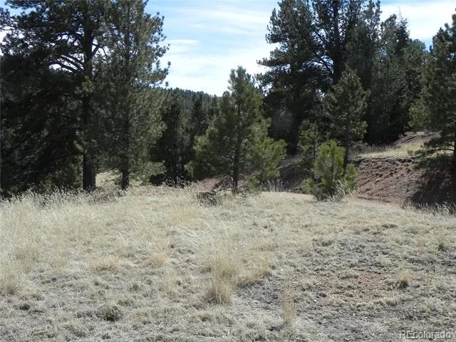 1087 Monarch Drive Cripple Creek, CO 80813