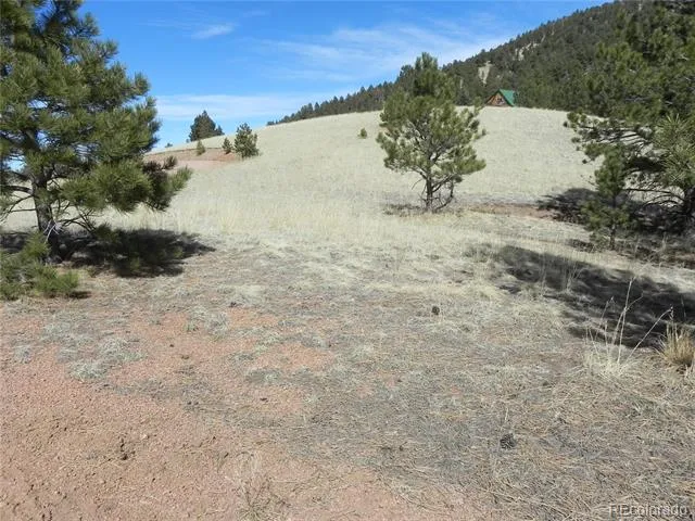 1087 Monarch Drive Cripple Creek, CO 80813