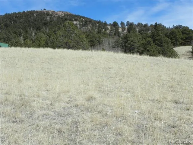 1087 Monarch Drive Cripple Creek, CO 80813