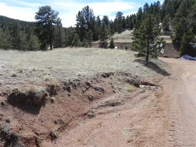 1087 Monarch Drive Cripple Creek, CO 80813