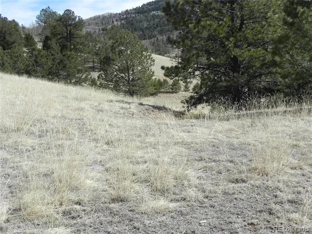 1087 Monarch Drive Cripple Creek, CO 80813