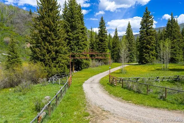 12123 County Rd 313 New Castle, CO 81647