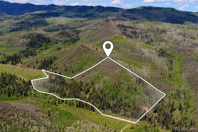 12123 County Rd 313 New Castle, CO 81647