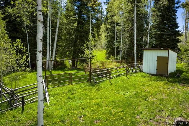 12123 County Rd 313 New Castle, CO 81647