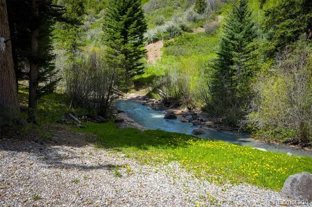 12123 County Rd 313 New Castle, CO 81647