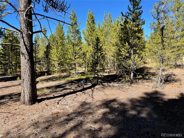451 Virginia Avenue Leadville, CO 80461