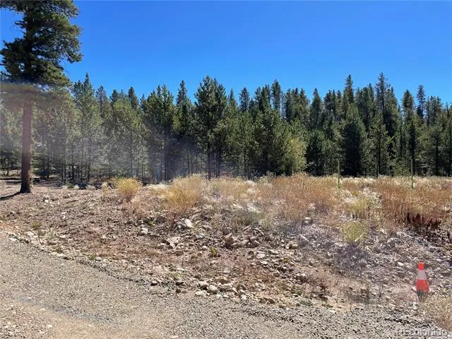 451 Virginia Avenue Leadville, CO 80461