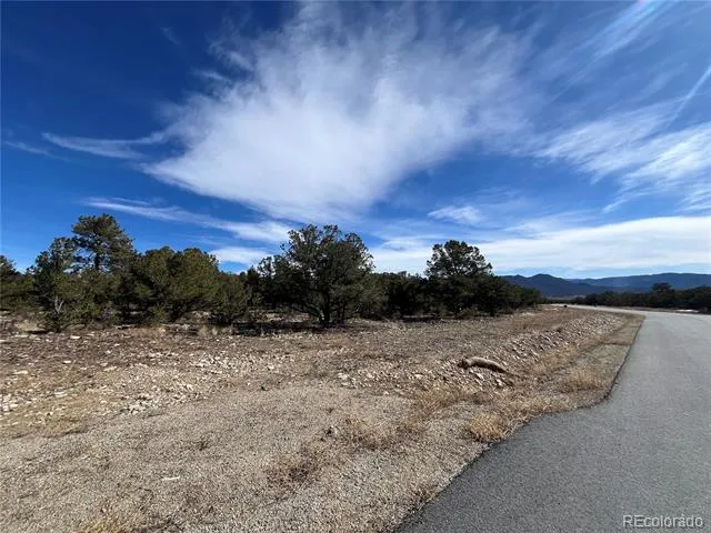 29274 Lakota Lane Buena Vista, CO 81211