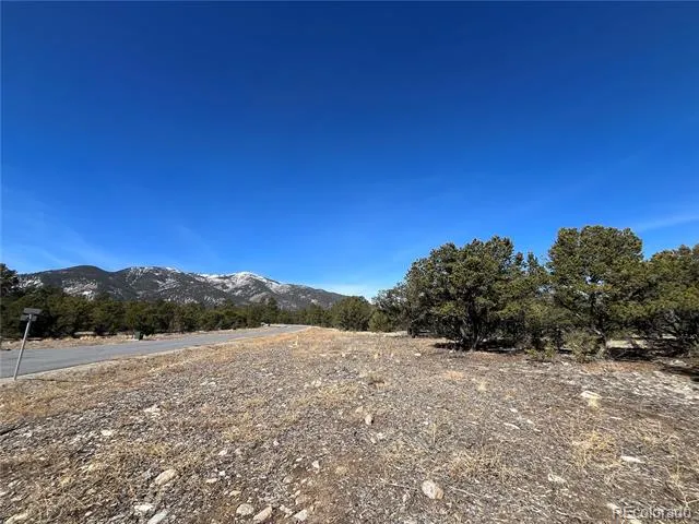 29274 Lakota Lane Buena Vista, CO 81211