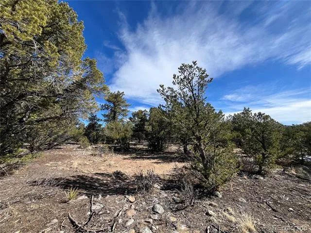 29274 Lakota Lane Buena Vista, CO 81211