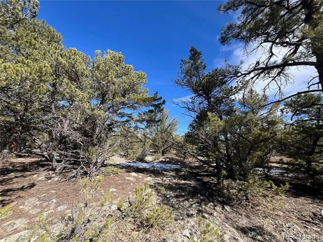 29274 Lakota Lane Buena Vista, CO 81211