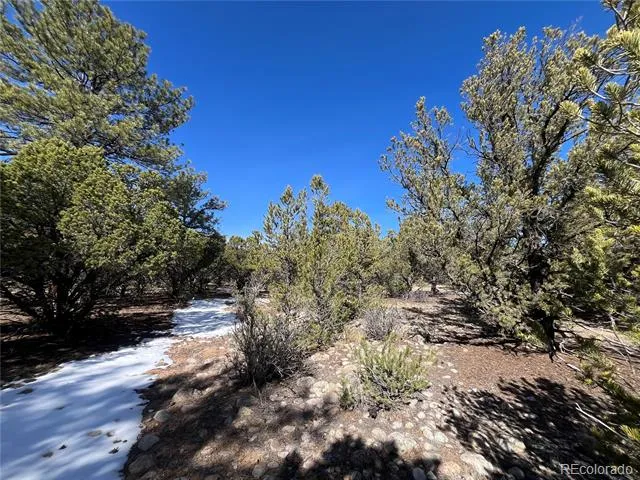 29274 Lakota Lane Buena Vista, CO 81211