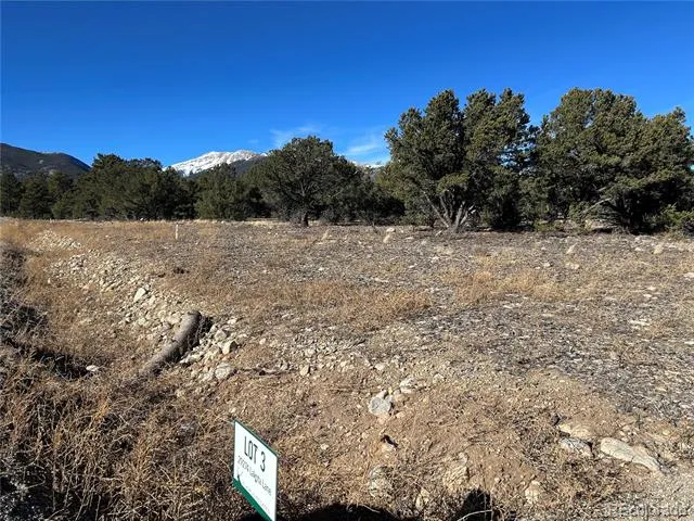 29274 Lakota Lane Buena Vista, CO 81211