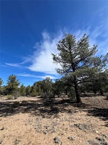 29274 Lakota Lane Buena Vista, CO 81211