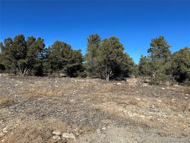 29274 Lakota Lane Buena Vista, CO 81211
