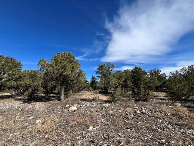 29274 Lakota Lane Buena Vista, CO 81211