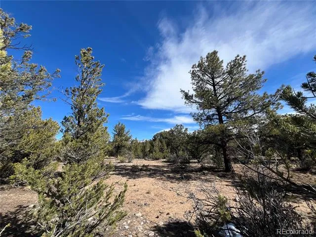 29274 Lakota Lane Buena Vista, CO 81211