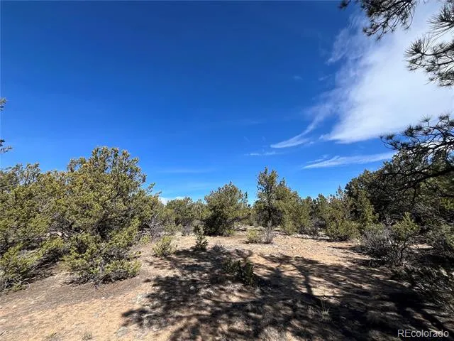 29274 Lakota Lane Buena Vista, CO 81211