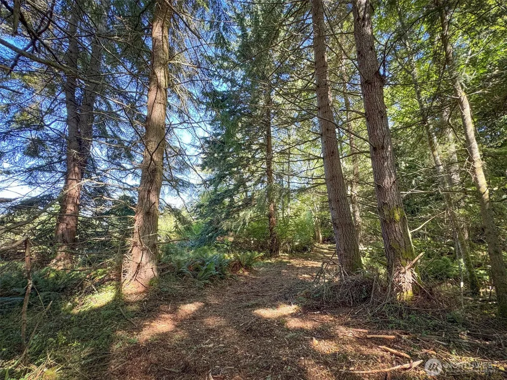 9999 W Bachelor Rock Drive Port Angeles, WA 98363