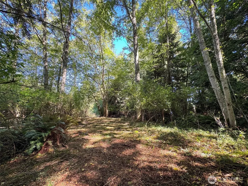 9999 W Bachelor Rock Drive Port Angeles, WA 98363