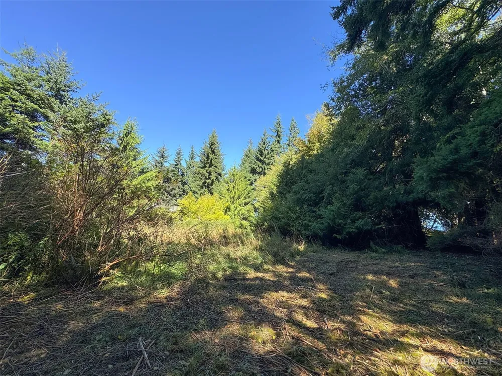9999 W Bachelor Rock Drive Port Angeles, WA 98363