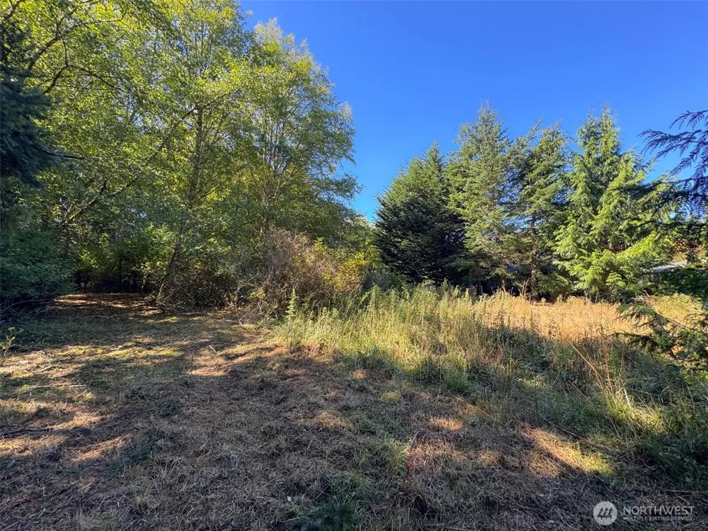 9999 W Bachelor Rock Drive Port Angeles, WA 98363