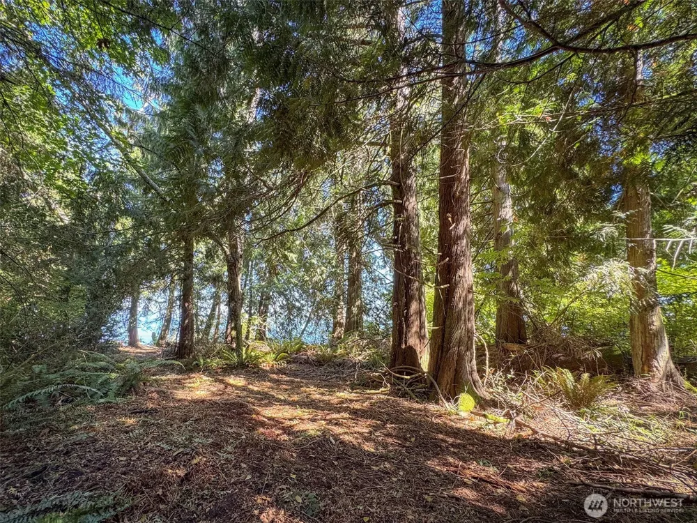 9999 W Bachelor Rock Drive Port Angeles, WA 98363
