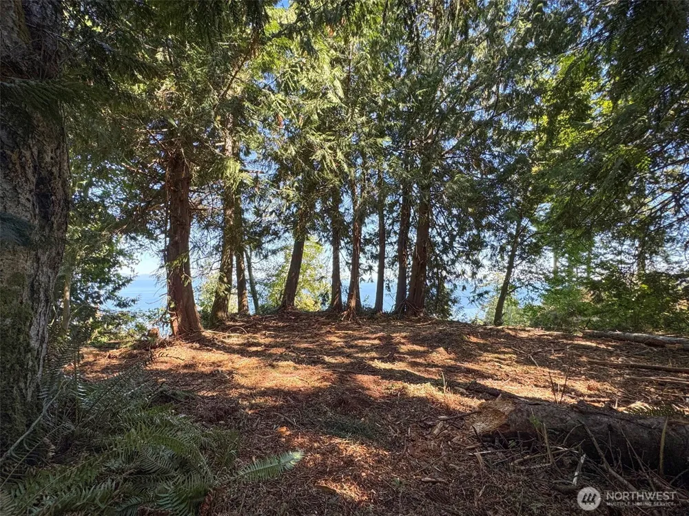 9999 W Bachelor Rock Drive Port Angeles, WA 98363