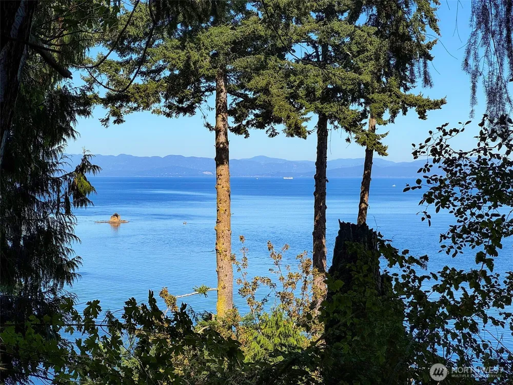 9999 W Bachelor Rock Drive Port Angeles, WA 98363