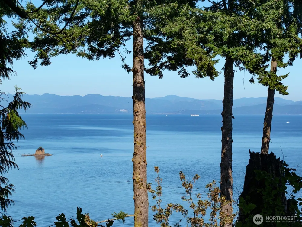 9999 W Bachelor Rock Drive Port Angeles, WA 98363