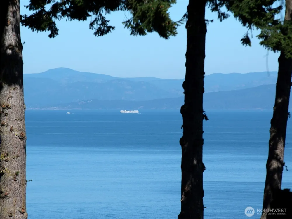 9999 W Bachelor Rock Drive Port Angeles, WA 98363
