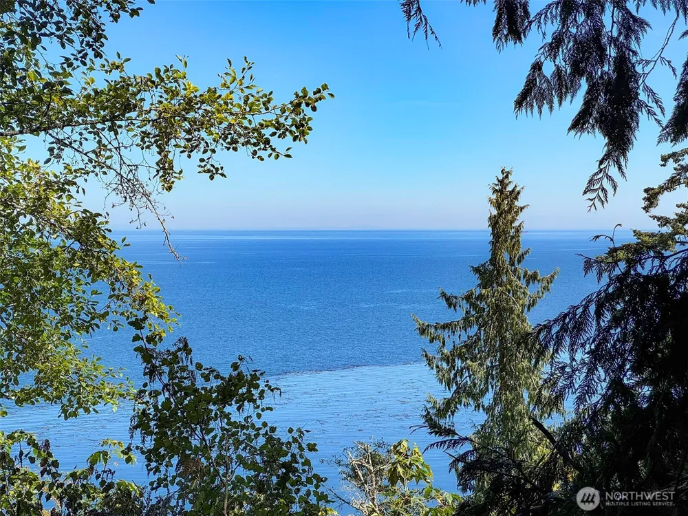 9999 W Bachelor Rock Drive Port Angeles, WA 98363