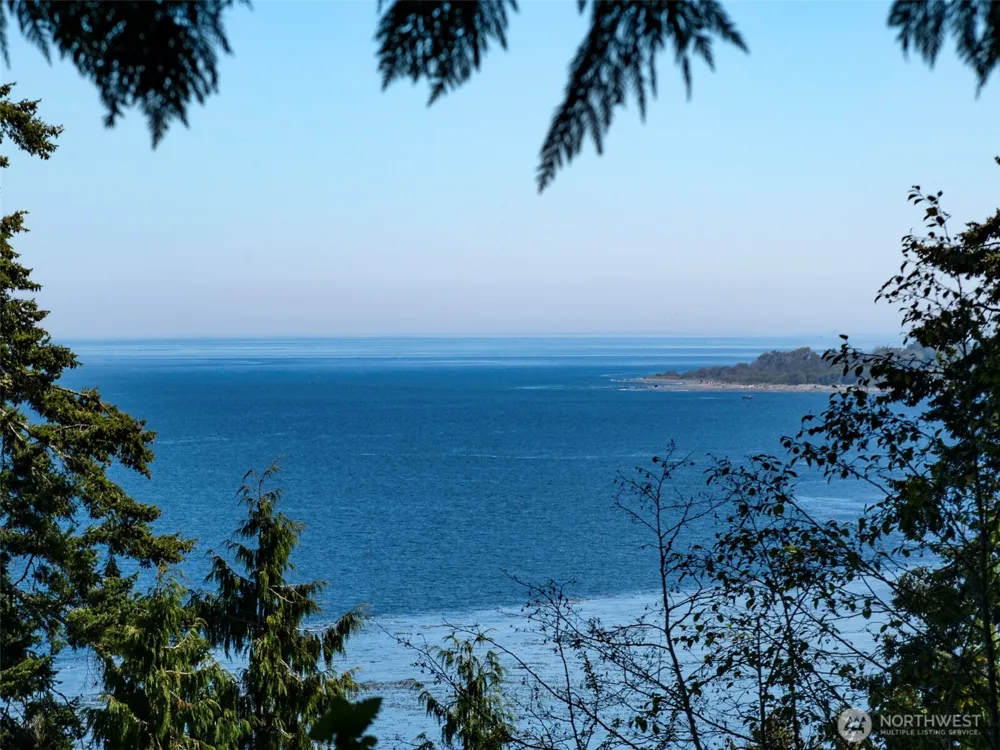 9999 W Bachelor Rock Drive Port Angeles, WA 98363