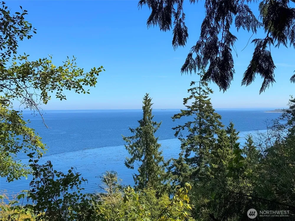 9999 W Bachelor Rock Drive Port Angeles, WA 98363