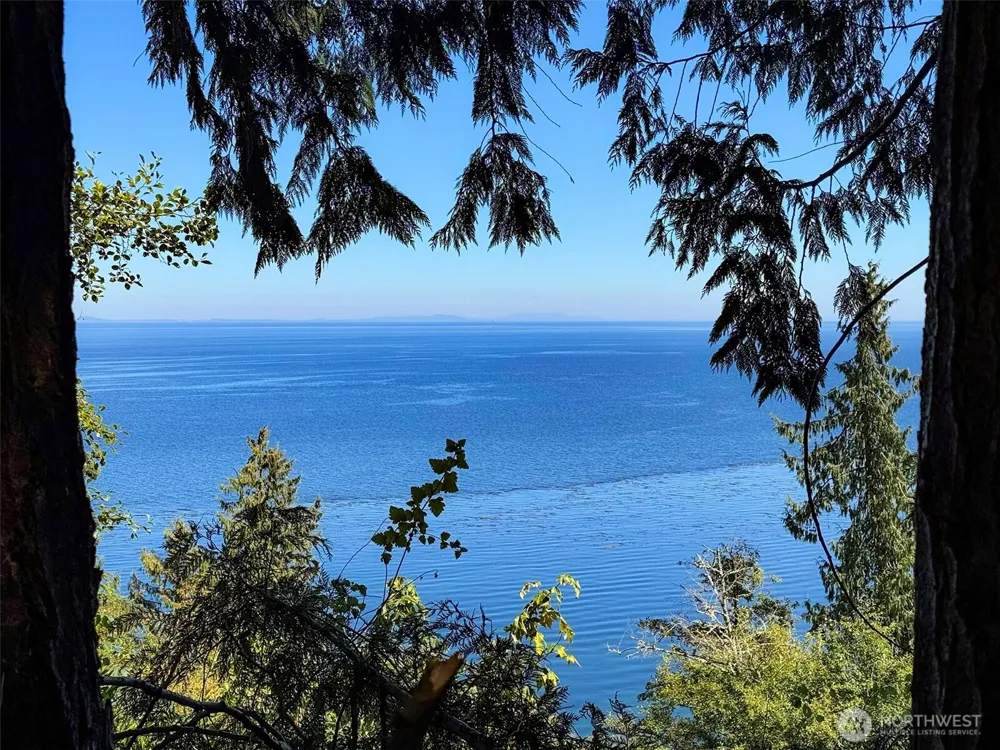 9999 W Bachelor Rock Drive Port Angeles, WA 98363