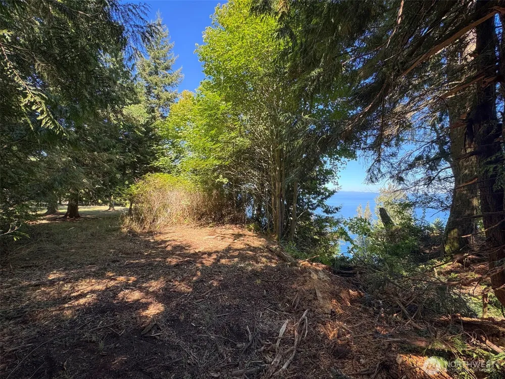 9999 W Bachelor Rock Drive Port Angeles, WA 98363