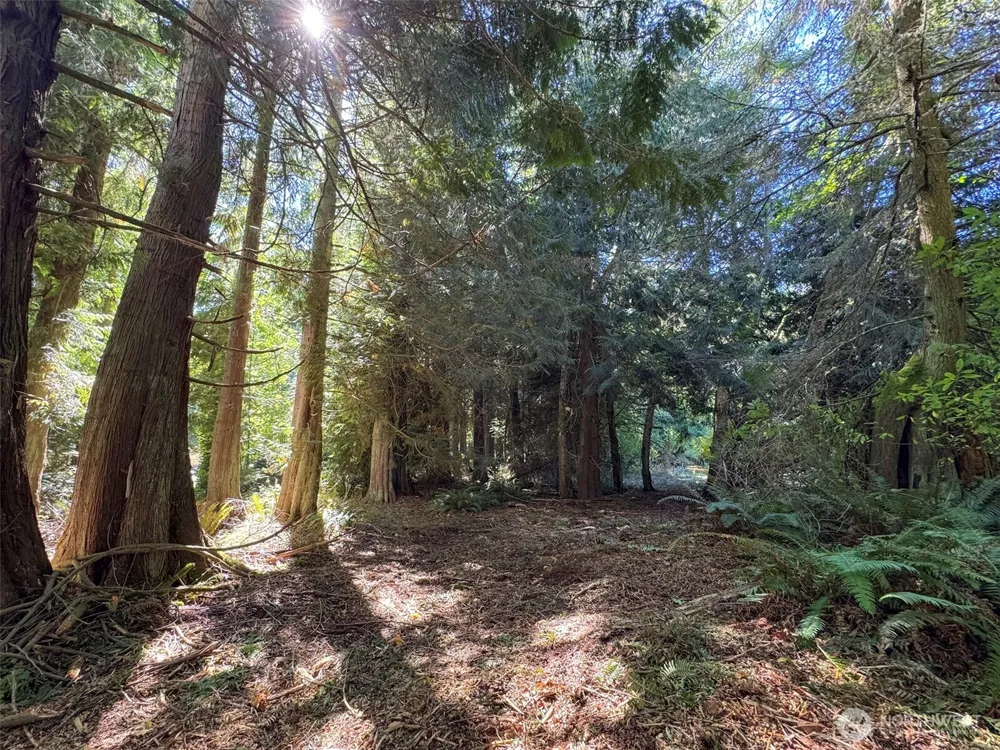 9999 W Bachelor Rock Drive Port Angeles, WA 98363