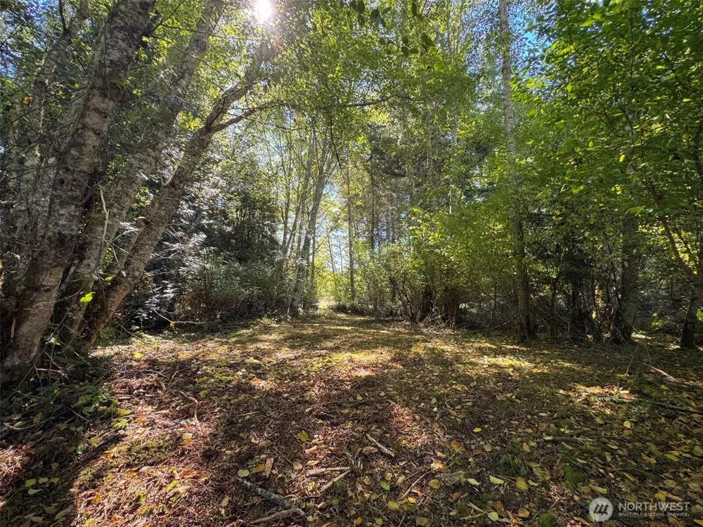 9999 W Bachelor Rock Drive Port Angeles, WA 98363