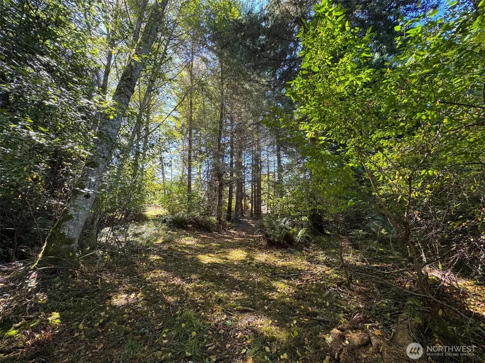 9999 W Bachelor Rock Drive Port Angeles, WA 98363