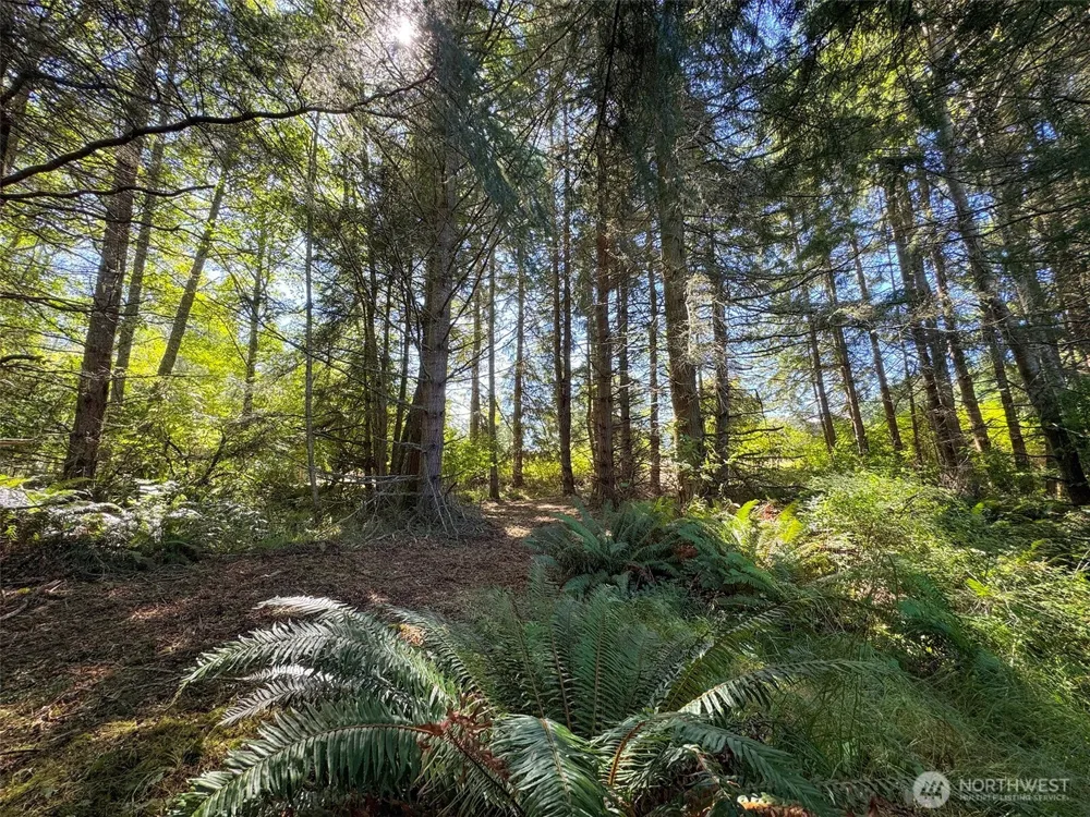 9999 W Bachelor Rock Drive Port Angeles, WA 98363