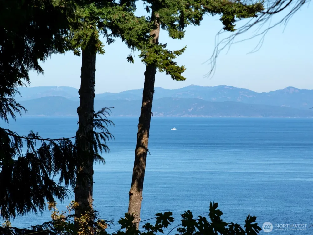 9999 W Bachelor Rock Drive Port Angeles, WA 98363